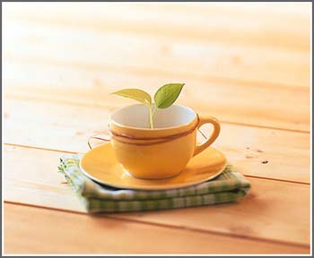 �ɐ�(��i)�;�׌С�Y�Ĵˑ��ϏN