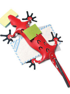 �ǳ��ɐ�(��i)��Ƥ��ռ{С���