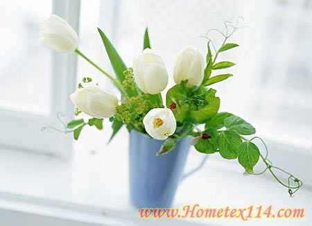 10����Ȥ�a(ch��n)Ʒ��׃�Ҿ�����