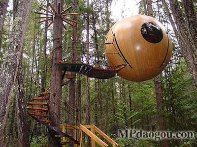 ������˼��(chu��ng  )�����w�Ƅ�(d��ng)����