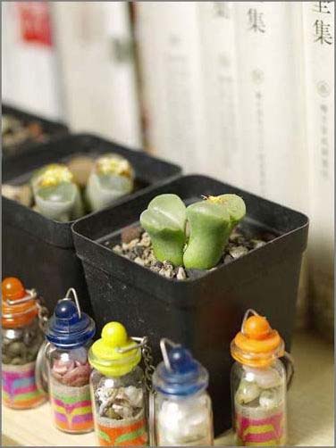 �T��Сʯ�������o(w��)�޾��ʼҾ�