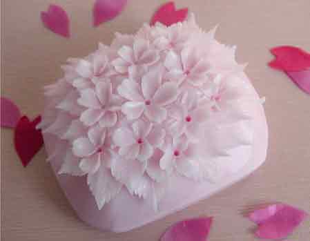 �ɐ�(��i)�����⣺���������������