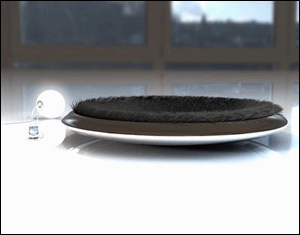 �������_(k��i)�Ą�(chu��ng  )��Ҿ���Ʒ