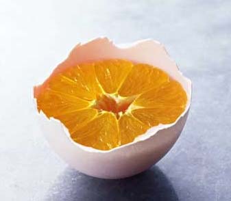 �õ�����(chu��ng  )�����(j��ng)��Ҿ��Ʒ