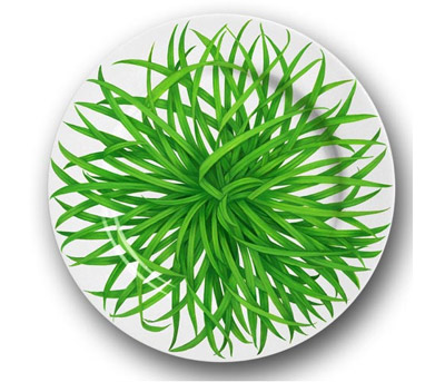 ���Gɫ�;ߠI(y��ng)�촺���Ϣ