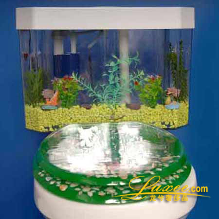 ���؄�(chu��ng  )���׃����ԡ��