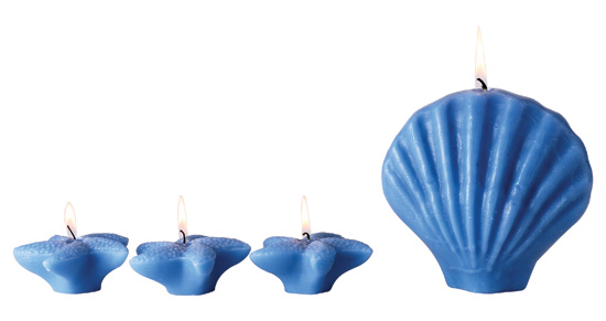 ��(g��)��Ϟ�T ׌����ǰһ��