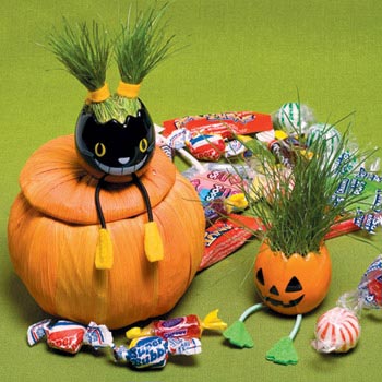 ��(chu��ng  )���ּҾ�׌��옷(l�� )�o(w��)߅