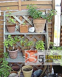 ���fů��֮�ú��L(f��ng)������С��