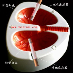 �����o(w��)����(g��)�����(l��i)���Ҹ�