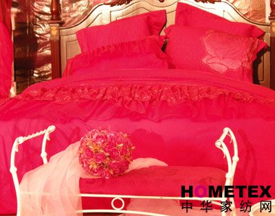 ����܇(ch��)�Ҽ�2008�ﶬ��Ʒ�l(f��)����(hu�� )