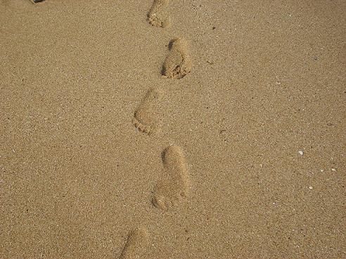 ʩ�����������΄�(chu��ng  )�I(y��)�ɹ���