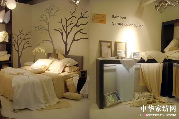 �����Ҽ����2009���m�˸�չ