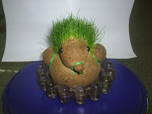 r(sh)Є(chung  )ɐ(i)h(hun)^