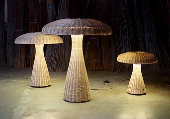 Ӽ҄(chung  )ɐ(i)СƷ