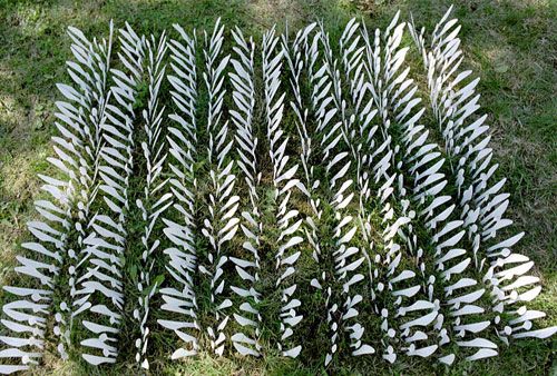 һ���Բ;�ƴ���e��ˇ�g(sh��)