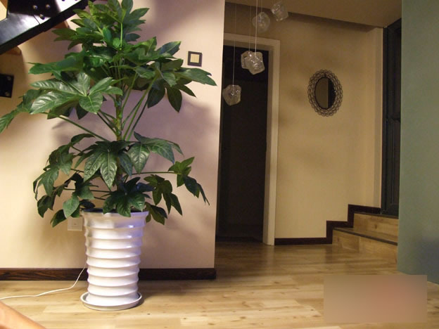 80��W(w��ng)�����bС��ʽ