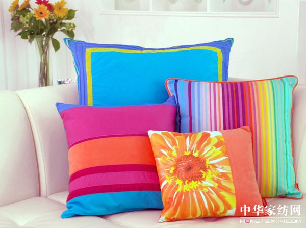 ESPRIThome2010��Ʒ�Ų�����