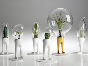 r(sh)Є(chung  )Ҿ nӼ