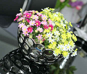 ߽ĵĄ(chung  )䳲ʳP(pn)