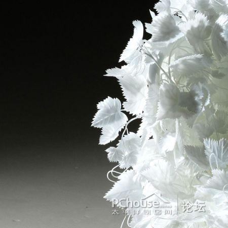 ׵Ę(sh)~Є(chung  )⵫ܹª