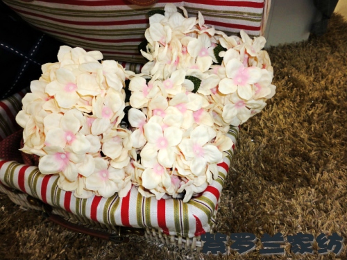 ���_�mƷ�ƘO���貼���