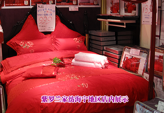 �ǻ۵��������_�m���