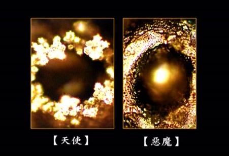 ���z��o�o��ˮ֪���𰸡�