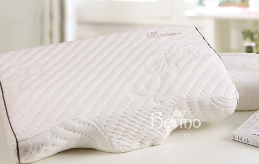 ���z�Ҽ���ʮһ������������