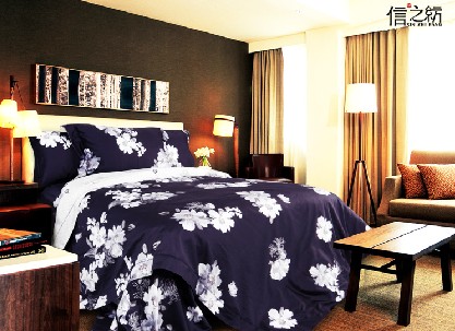 ��֮���Ҽ�׷��ԭ��(chu��ng  )�OӋ���_��