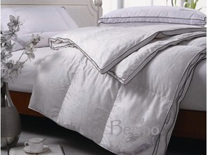 ��q�����B����