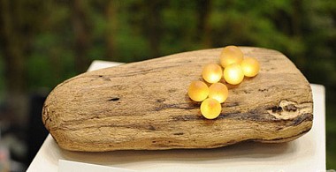 (chung  )LED(sh)ϵСĢ