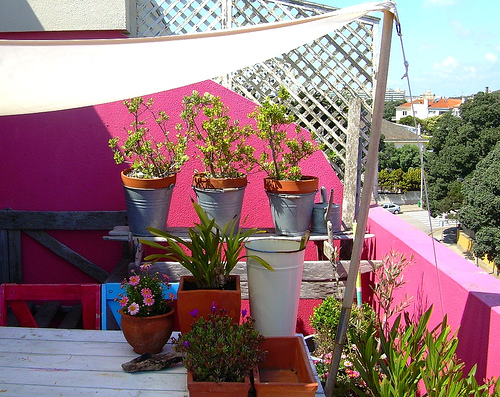 (sh):ɫL(fng)đ֮()