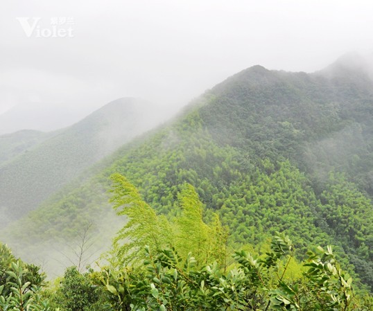 _mЈ(chng)ɽչ(xi)ŗĈF꠾