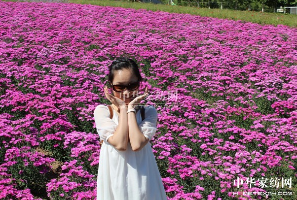 Ҽ푡(i)ڲϱ(dng)