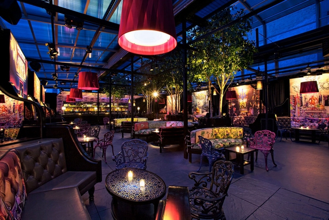 ��ɿ��(d��ng)�ߡ�ҹ����(hu�� )