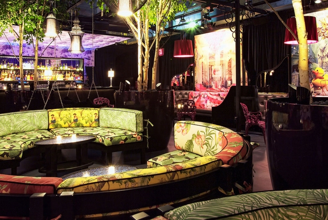 ��ɿ��(d��ng)�ߡ�ҹ����(hu�� )