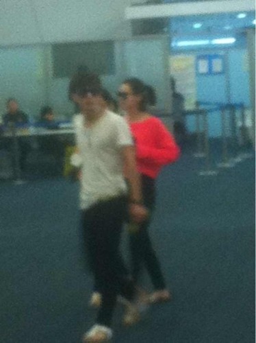 ��ޱ����C̩�����ֱ��ķQ(ch��ng)��(hu�� )�f(shu��)��