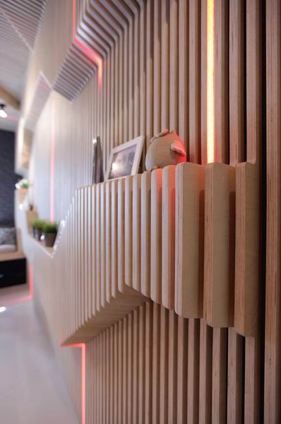 Ī˹��ParametriXKitchen