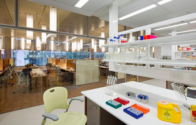 ��ʿ�m���g�о���