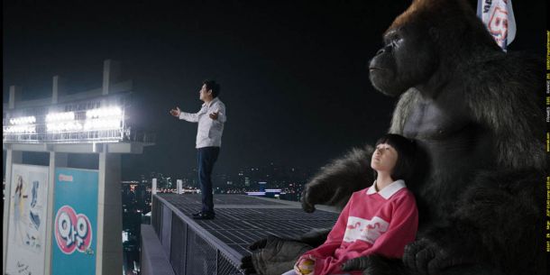 ��Mr.GO���؄��մ������`�`����(d��ng)����