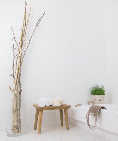 ����һ�������w��