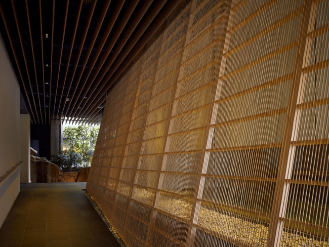 �ձ�KyotoKokusai�Ƶ�