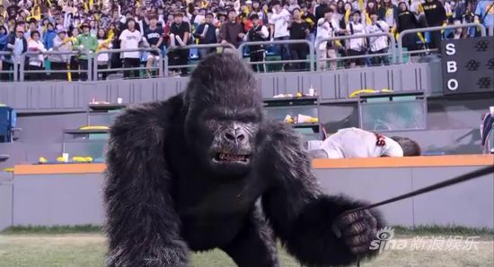 �������ɡ�Ʊ��6400�f(w��n)���p�Ɍ��Q��݋