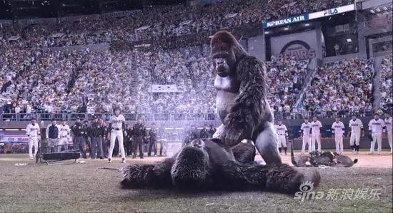 �������ɡ�Ʊ��6400�f(w��n)���p�Ɍ��Q��݋