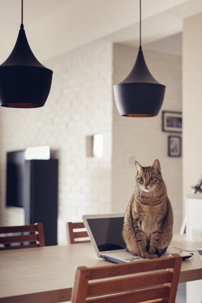 �F����(ji��n)�s�L(f��ng)��I-CHI؈��֮��