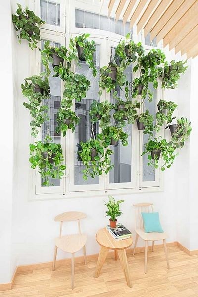 �������������Z(y��)��У�@