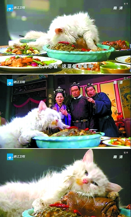 �ء����w����������؈���ݣ�ֻ�������