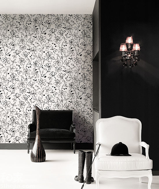 �ؿ�ζС�����L(f��ng)���f(w��n)�N�ıڼ�(2)