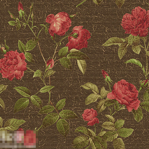 �ؿ�ζС�����L(f��ng)���f(w��n)�N�ıڼ�(2)